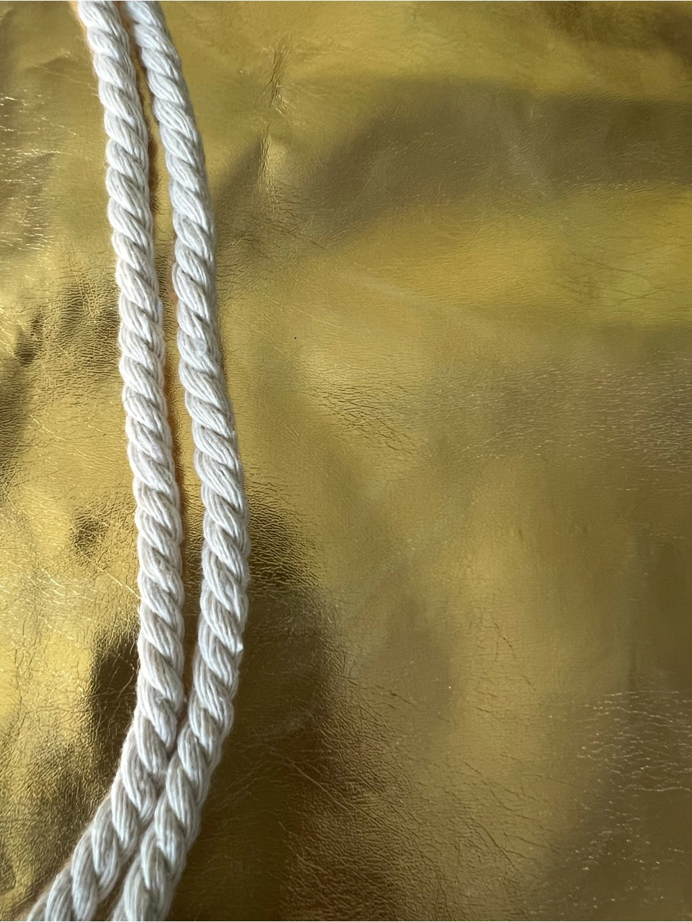 Shiny Gold Drawstring Backpack with White Rope Straps - Picture 2 of 7